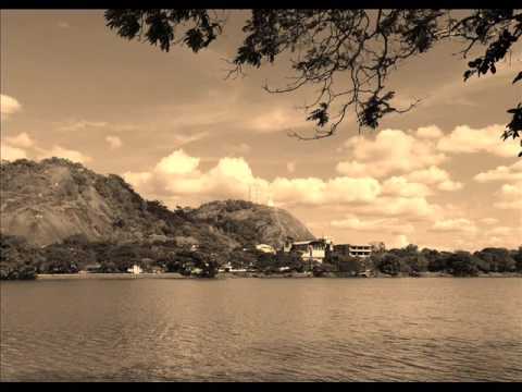 Robarosiya Sewane indan - රොබරෝසියා සෙවනේ ඉඳන් ....