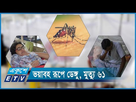 সব ধরনের পরিবেশের সাথে মানিয়ে ভয়াবহ রূপে ডেঙ্গু | ETV News