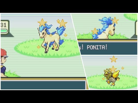 LIVE! SHINY PONYTA + 1 PHASE!