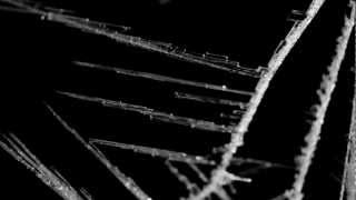 Ryan Teague - Cascades