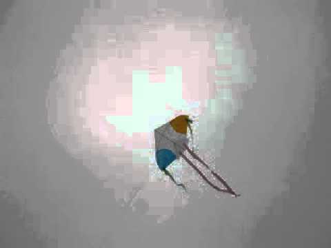 Paper Kite - Damien Jurado