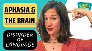 Speech Therapist Explains APHASIA: Wernicke's vs Broca’s 🧠