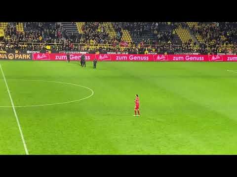 BVB vs Union Berlin Neven Subotic Südtribühne 01.02.20 Borussia Dortmund