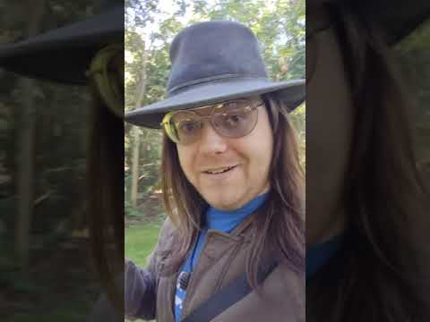 My Thoughts On V5 Dark Ages