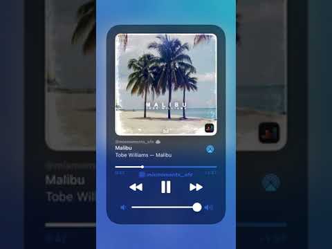 Tobe Williams - Malibu 🦋