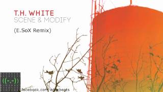 T.H. White - Scene & Modify (E.SoX Remix)