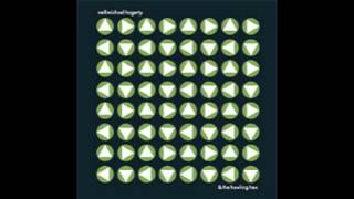 Neil Michael Hagerty & The Howling Hex - Firebase Ripcord