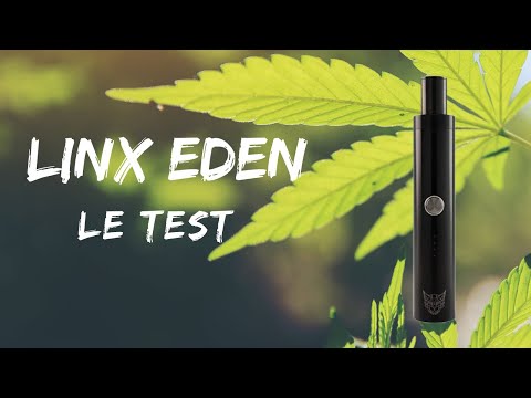 Test & Avis Linx Eden - Vapo à convection à petit prix !