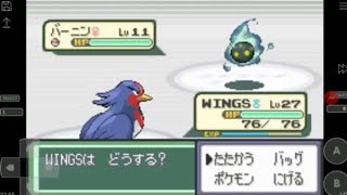 ポケモンベガ　色違いバーニン