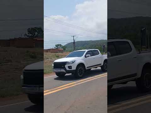 coméia tocantins