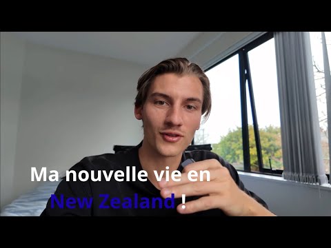 Mon 1er mois en Nouvelle-Zélande 🇳🇿 : taf, galères de logement & voiture