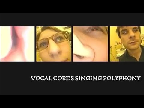 Vocal Cords singing Polyphony