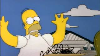 Just Get This Stuff Inside Your House! (The Simpsons)