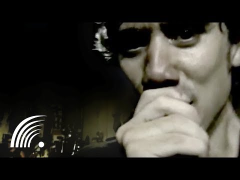 De cara pro mundo - Planta e Raiz