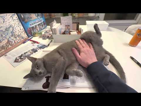 Ekaterina won’t let me read the Frosthaven game rules