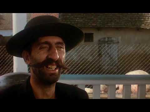 Macskajaj - Megmondták az uttrahangon. - #macskajaj #vicces #mém