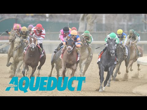 Belmont at the Big A Simulcasting - May 25, 2024