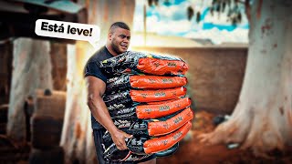 BITELO BATEU O RECORDE E LEVANTOU 6 SACOS 