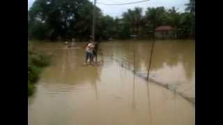 preview picture of video 'Penampakan Ki Lunto D banjir grobogan by.Dito Grb'