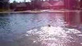 Molly Fetch n&#39; Swim 9/29/07