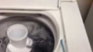 Whirlpool washing machine making whining noise.