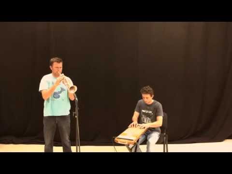 True sorry - Ibrahim Maalouf . cover by Alban Sarron (trumpet) & Mathieu Terrade (Harpejji)