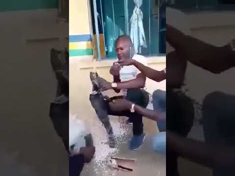 Police intercept arms and ammunition concealed in bag of beans