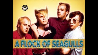 Top 20 Songs of A Flock of Seagulls