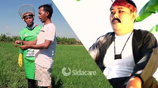 Download lagu Brewok Ayu & Gulma Padi (Iklan Prassida) mp3