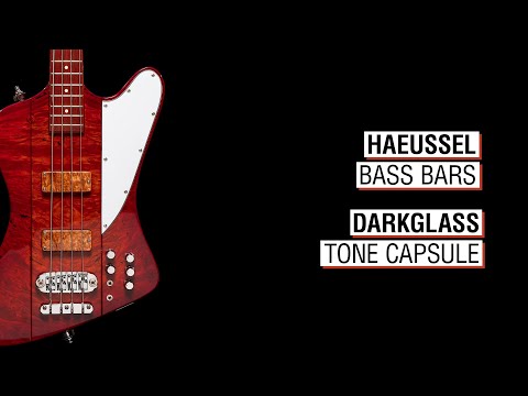 Haeussel Bass Bars + Darkglass Tone Capsule - Maruszczyk Phoenix 4a
