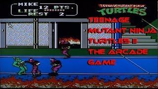 Teenage Mutant Ninja Turtles II: The Arcade Game, on the NES