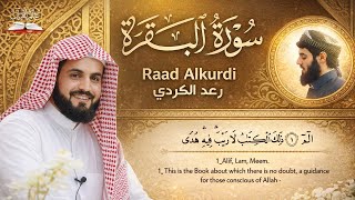Download lagu سورة البقرة كاملة للقارئ رعد الكردي | full surah Al Baqara ـ Raad Alkurdi - Surat Al-Baqarah mp3