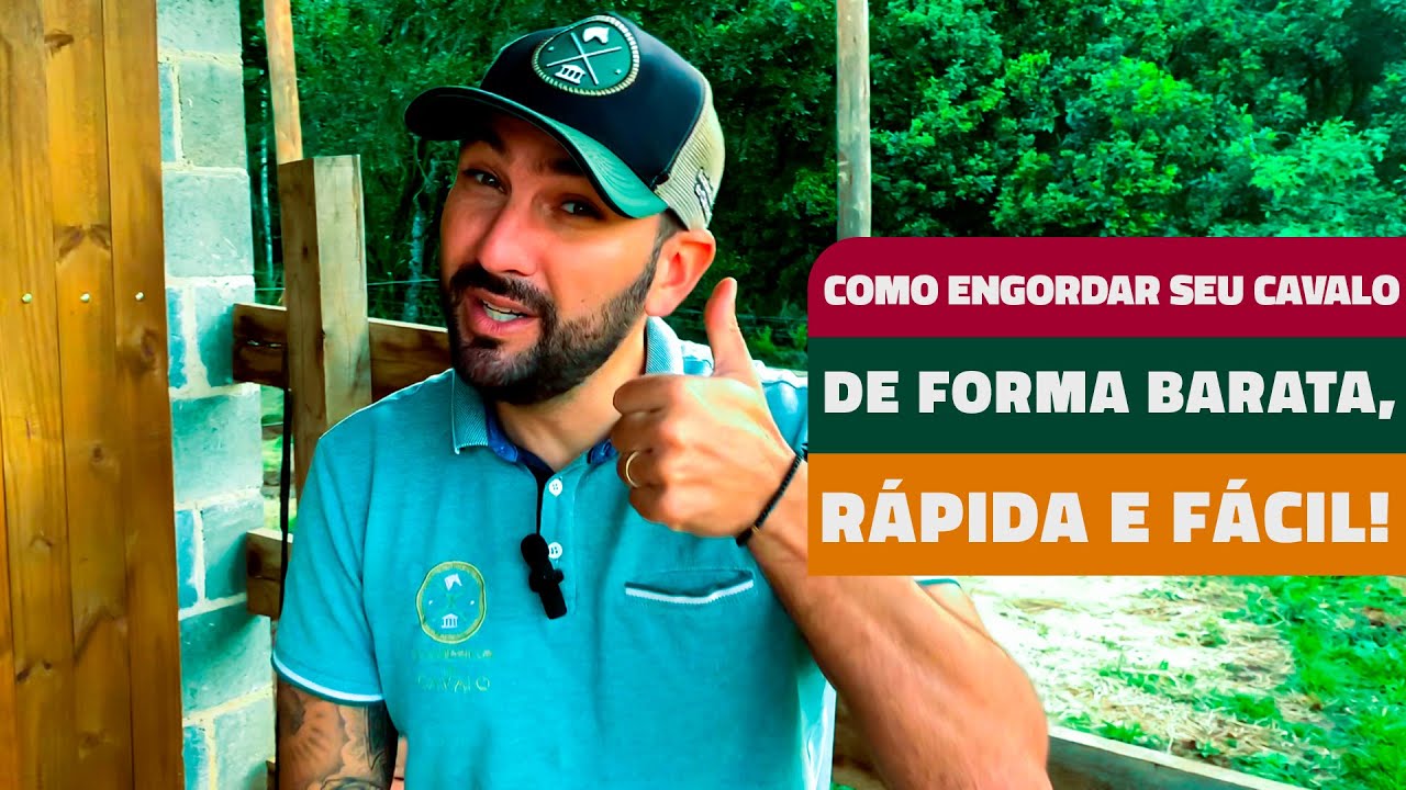 COMO ENGORDAR SEU CAVALO DE FORMA BARATA, RÁPIDA E FÁCIL!