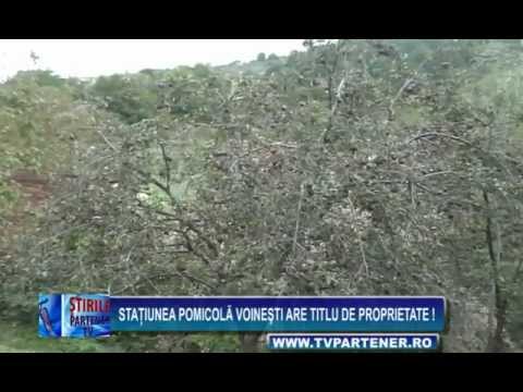 Staţiunea Pomicolă Voineşti are titlu de proprietate !