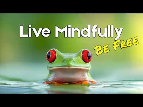 The Miracle of Mindfulness | Vibepedia