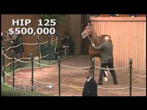 Negligee in the Auction Ring