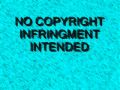 Dixie Chicks Dinosaur Rag