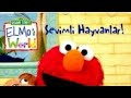 Opening To Elmo S World Pets VCD Turkish 2007