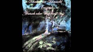 Vinterbarn - Nocturnal Enigma