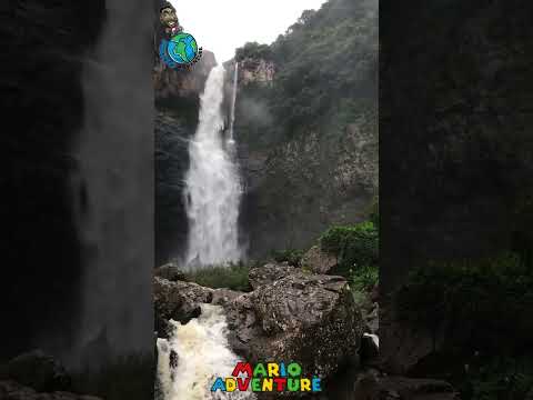 Um lugar repleto pela mata atlântica com um cenário de filme . #riograndedosul