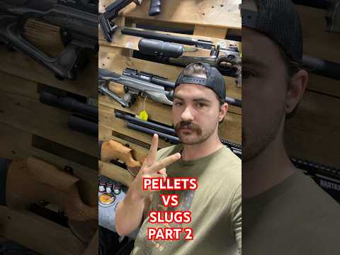 Pellets vs Slugs: Which Is Best? Part 2 #ballistics #airgun #theairgunpodcast #pellets #marksman