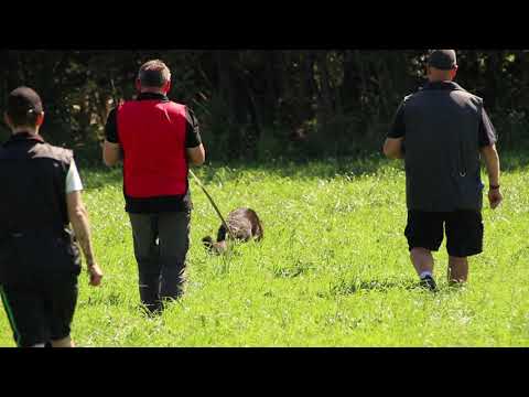 Trond Otter Johansen A