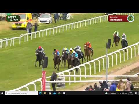 Galopprennbahn Dresden - 17.11.2021 - 5.Rennen