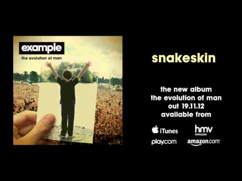 Example - 'Snakeskin' (Audio Only)