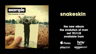 Example - 'Snakeskin' (Audio Only)