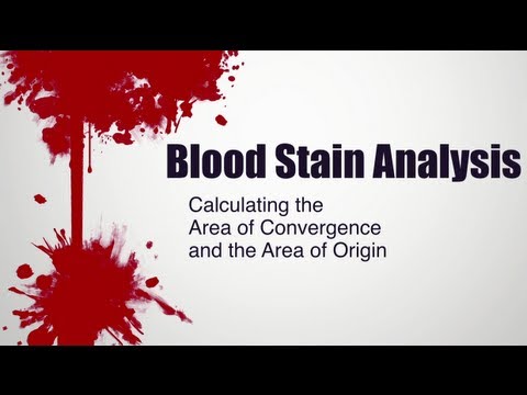 Blood Stain Analysis | Calculating the Area of Convergence and the Area of Origin