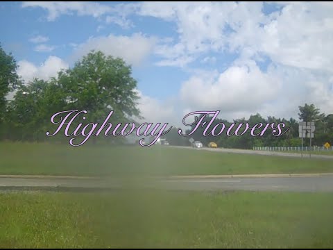 Highway Flowers