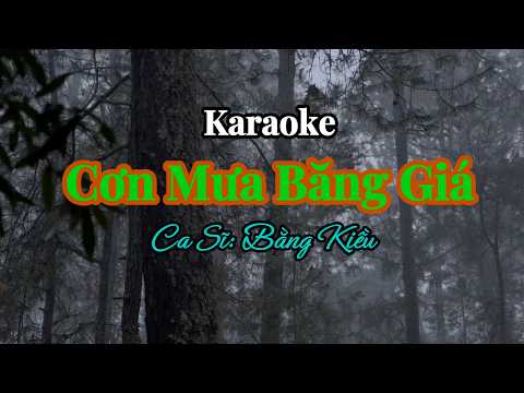 13. Cơn Mưa Băng Giá