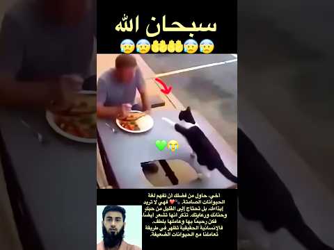 Please Respect😭🤲😭💔 #kindness #humanity