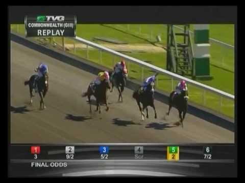2013 Commonwealth Stakes - Handsome Mike